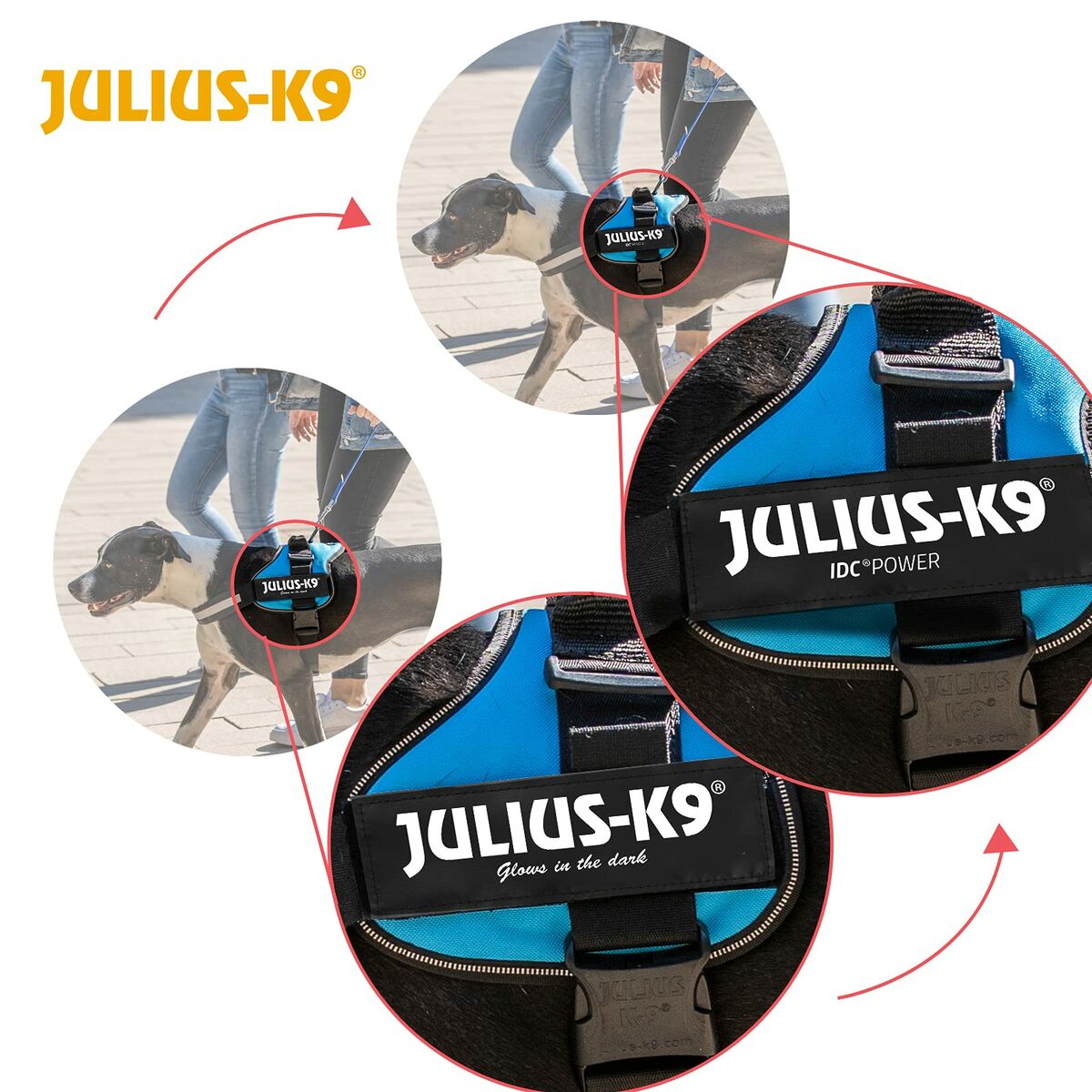 Szelki dla psa Julius K9 Power Czerwony M/L